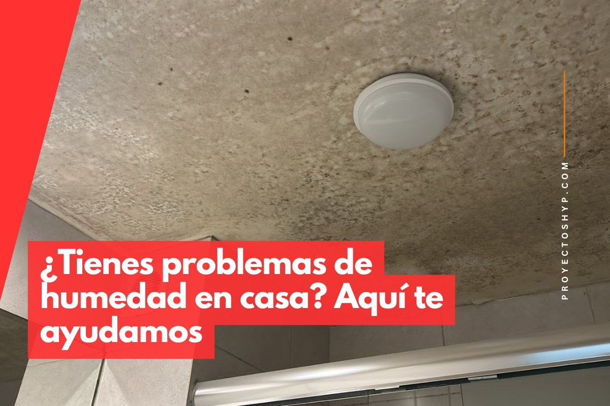 ¿Tienes problemas de humedad en casa? Descubre cómo solucionarlos